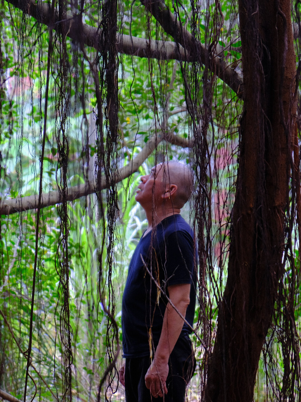 Tsai Ming-liang. Liminální božstvo kinematografie